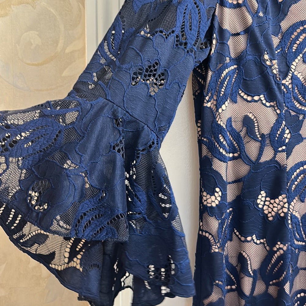Adrianna Papell Navy Blue Lace Dress - Picture 4 of 13